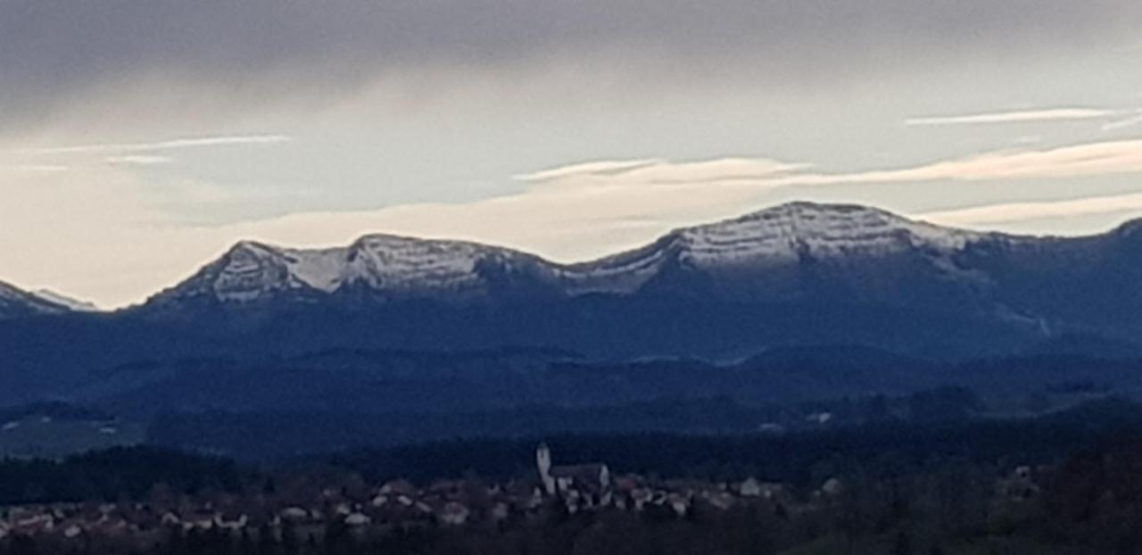 Alpenblick Apartment Leutkirch im Allgäu Exterior foto